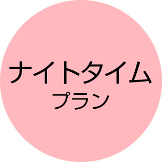 ナイトタイムプラン